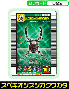 ムシカード -022 スペキオシスシカクワガタ-