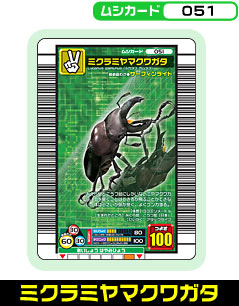 �~�N���~���}�N���K�^