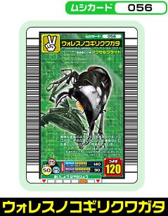 �E�H���X�m�R�M���N���K�^