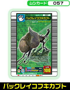 �o�b�N���C�R�t�L�J�u�g