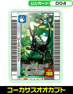 �R�[�J�T�X�I�I�J�u�g