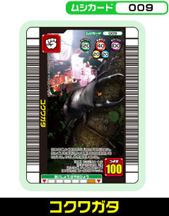 �R�N���K�^