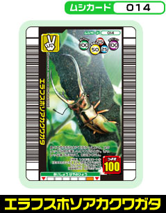 �G���t�X�z�\�A�J�N���K�^