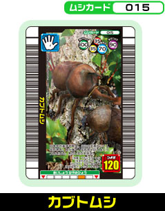 �J�u�g���V