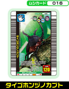 �^�C�S�z���d�m�J�u�g