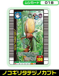 �m�R�M���^�e�d�m�J�u�g