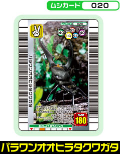 �p�������I�I�q���^�N���K�^