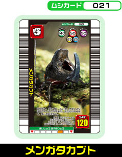 �����K�^�J�u�g