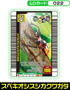 �X�y�L�I�V�X�V�J�N���K�^