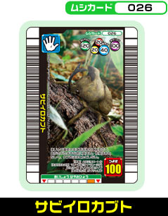 �T�r�C���J�u�g