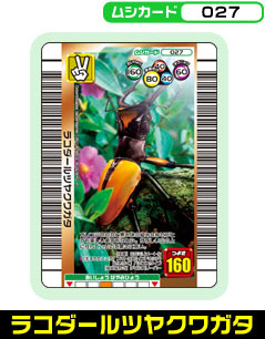 ���R�_�[���c���N���K�^