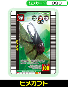 �q���J�u�g