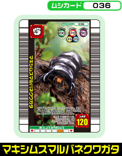 �}�L�V���X�}���o�l�N���K�^