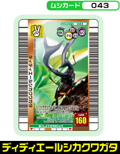 �f�B�f�B�G�[���V�J�N���K�^