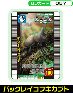 �o�b�N���C�R�t�L�J�u�g