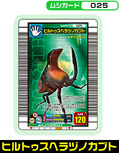 qgDXwdmJug