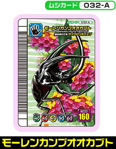 [JvIIJug