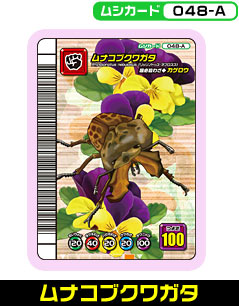 ���i�R�u�N���K�^