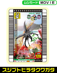 �X�W�u�g�q���^�N���K�^