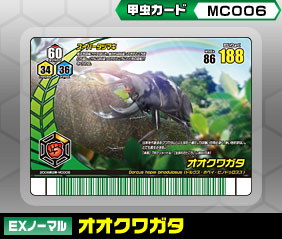 �I�I�N���K�^