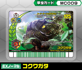 �R�N���K�^