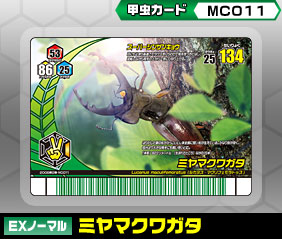 �~���}�N���K�^