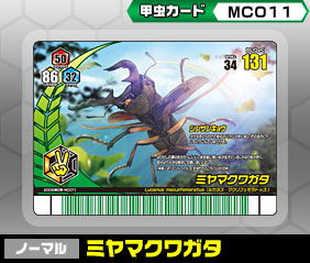 �~���}�N���K�^