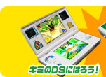 L~DSɂ͂낤I