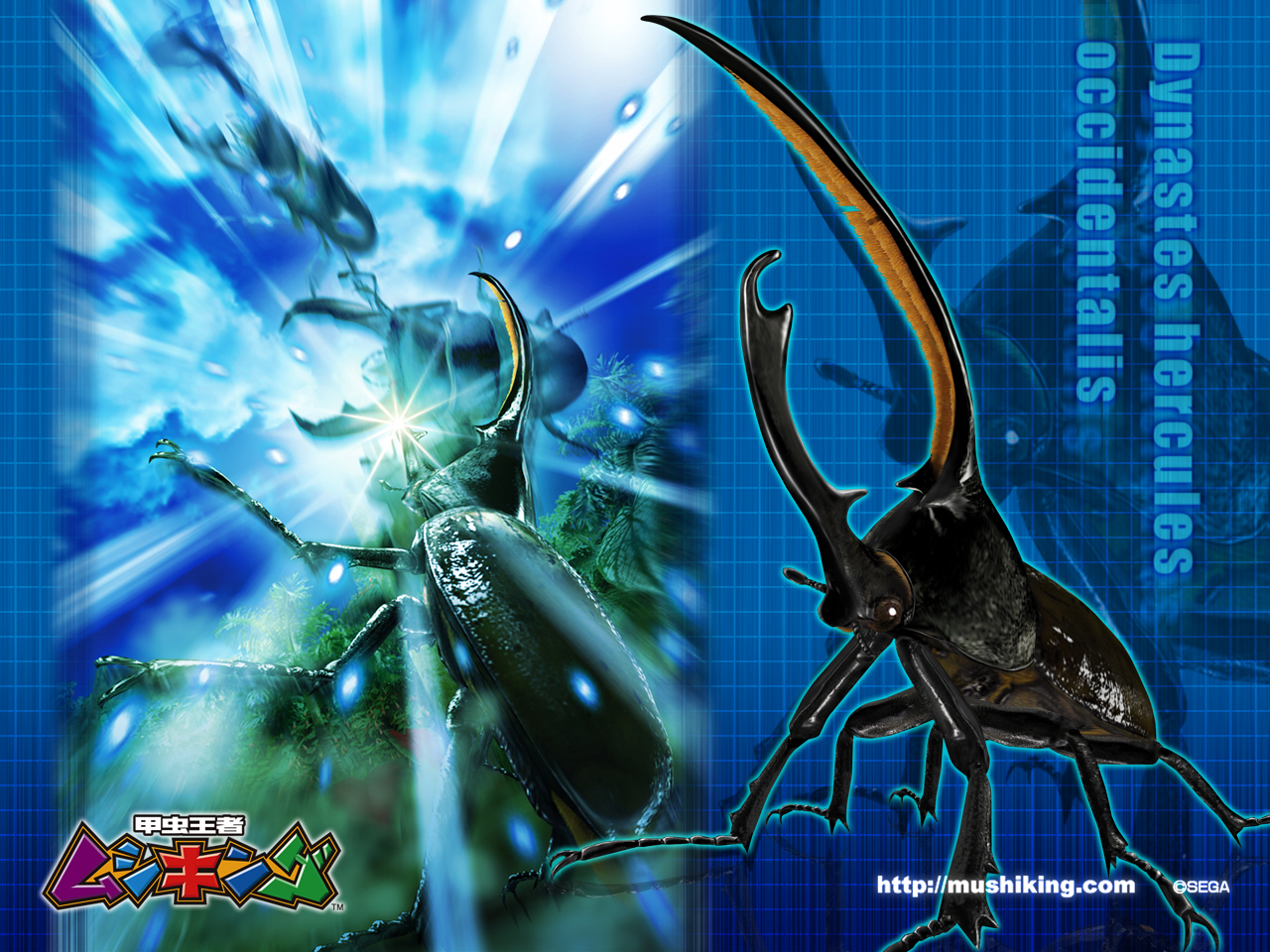 甲虫王者ムシキング 公式ホームページ ダウンロード